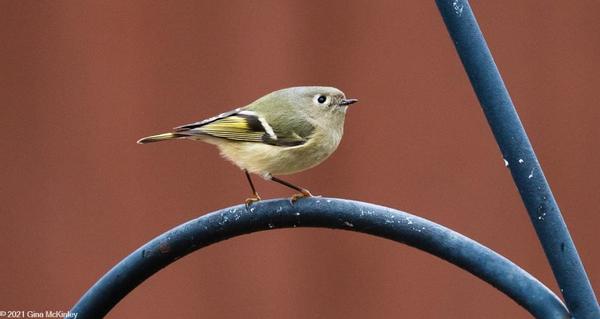 Customer photo 2 of 4. Click to open full size image.