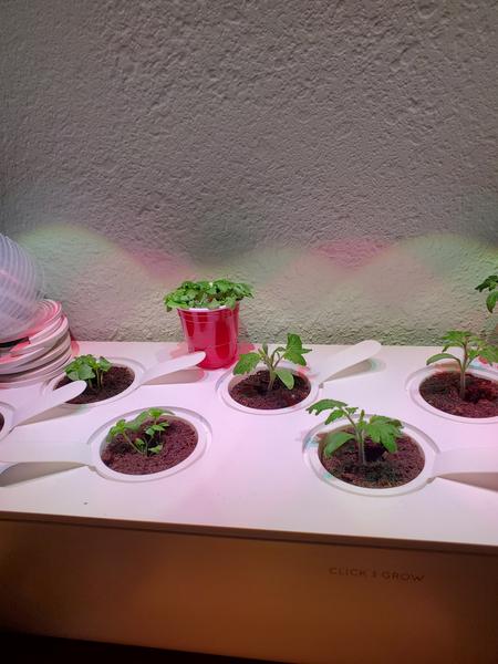 Customer photo 3 of 3. Click to open full size image.