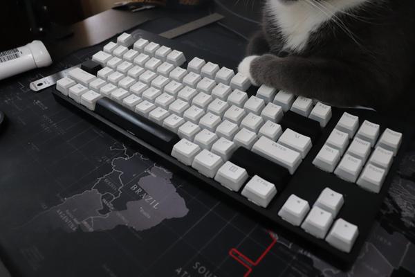 Customer photo 3 of 3. Click to open full size image.