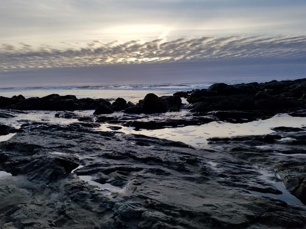 Customer photo 1 of 1. Click to open full size image.