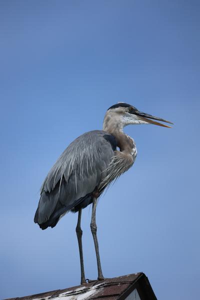 Customer photo 4 of 4. Click to open full size image.