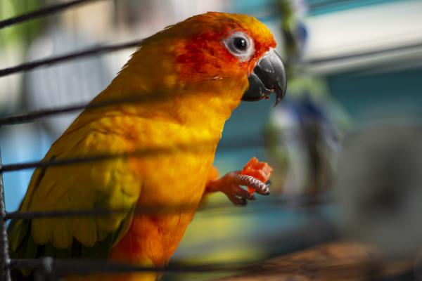 Customer photo 3 of 4. Click to open full size image.