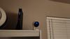 User submitted photo