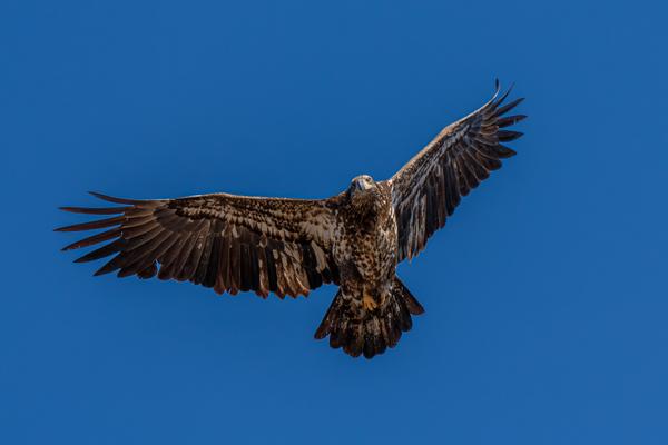 Customer photo 5 of 5. Click to open full size image.