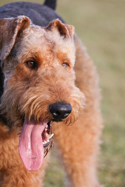 Customer photo 4 of 4. Click to open full size image.