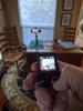 User submitted photo
