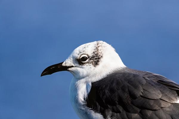 Customer photo 1 of 5. Click to open full size image.