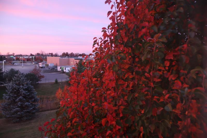 Customer photo 2 of 5. Click to open full size image.