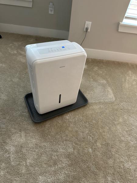 Customer photo 3 of 3. Click to open full size image.