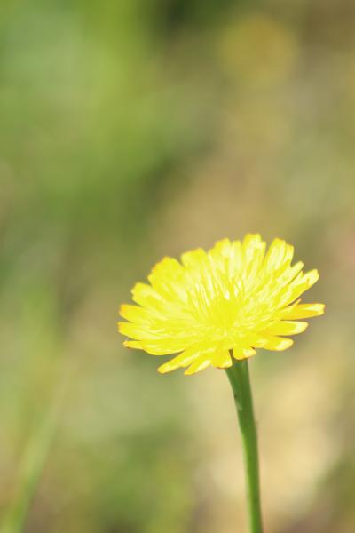 Customer photo 3 of 4. Click to open full size image.