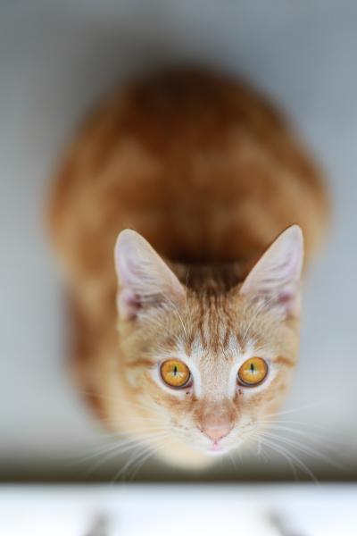 Customer photo 3 of 4. Click to open full size image.