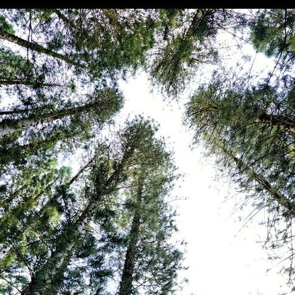 Customer photo 6 of 6. Click to open full size image.