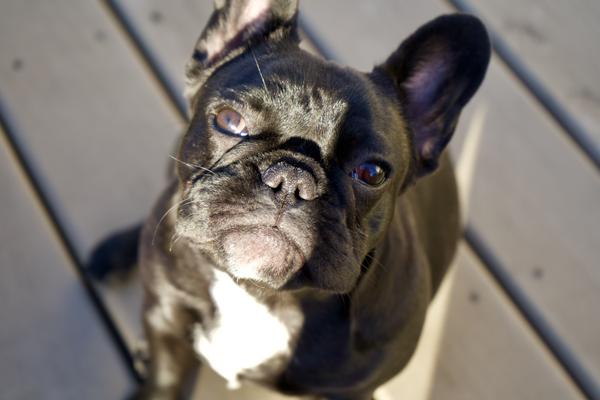 Customer photo 4 of 6. Click to open full size image.