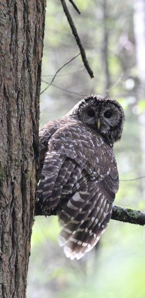 Customer photo 3 of 3. Click to open full size image.