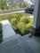 User submitted photo