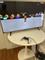 User submitted photo