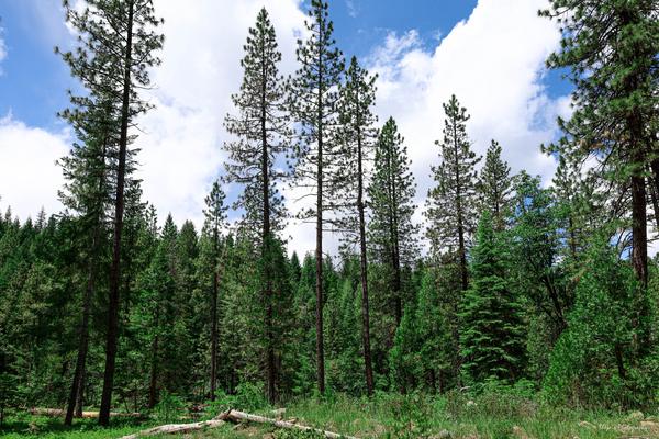 Customer photo 5 of 5. Click to open full size image.