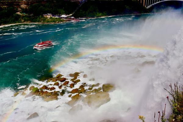 Customer photo 1 of 5. Click to open full size image.