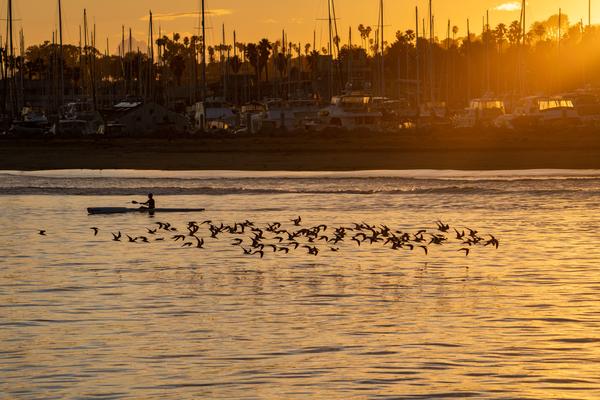 Customer photo 3 of 6. Click to open full size image.