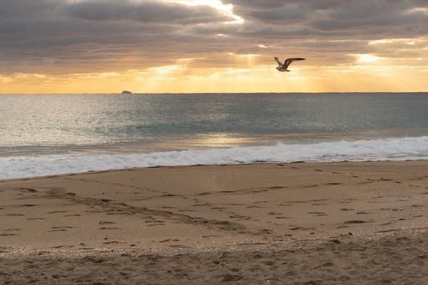 Customer photo 3 of 5. Click to open full size image.