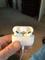 User submitted photo
