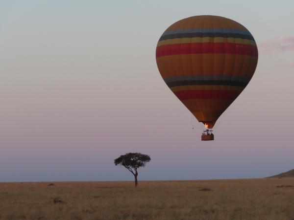 Customer photo 1 of 6. Click to open full size image.