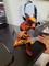 User submitted photo