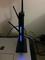 User submitted photo