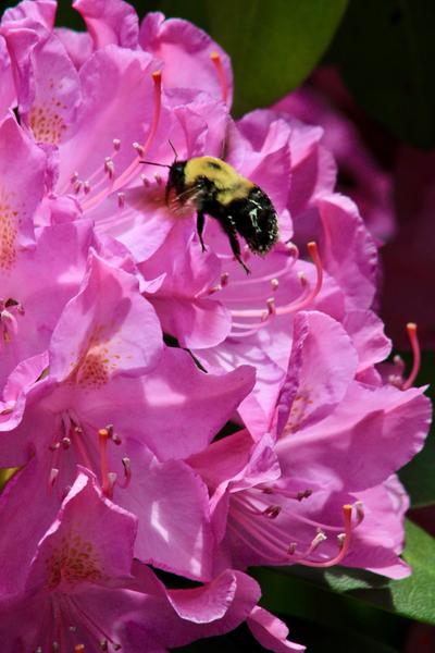 Customer photo 1 of 3. Click to open full size image.