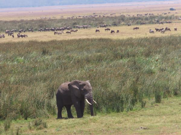 Customer photo 3 of 6. Click to open full size image.