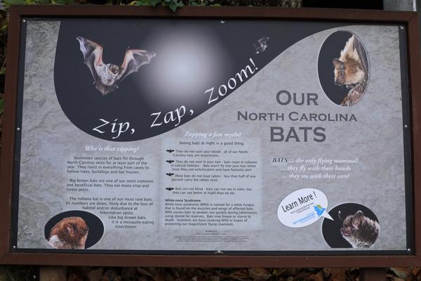 Customer photo 6 of 6. Click to open full size image.