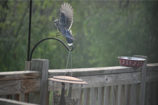 Customer photo 4 of 6. Click to open full size image.