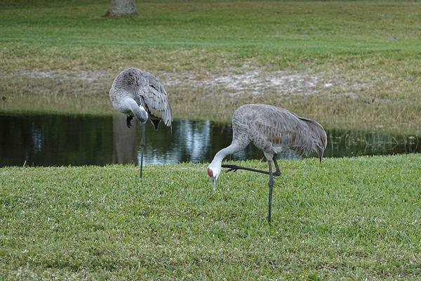 Customer photo 2 of 5. Click to open full size image.