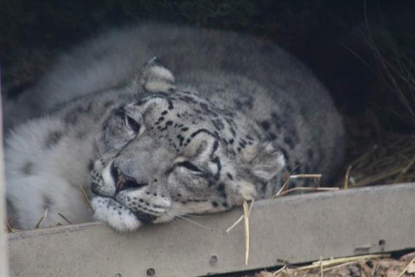 Customer photo 2 of 3. Click to open full size image.