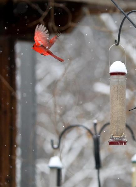 Customer photo 1 of 2. Click to open full size image.