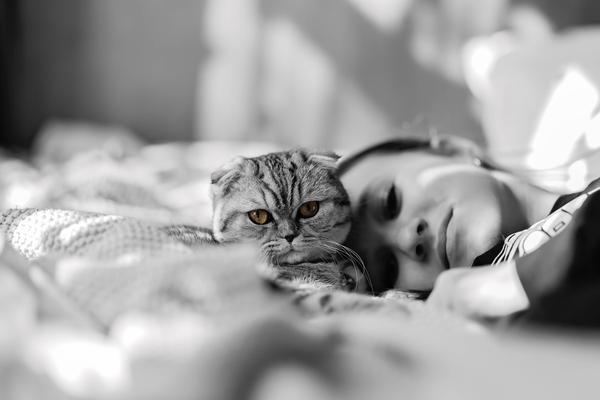 Customer photo 5 of 6. Click to open full size image.