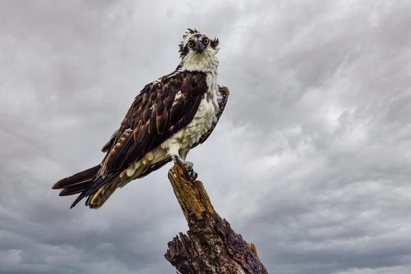 Customer photo 1 of 3. Click to open full size image.