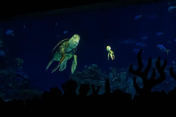 Customer photo 4 of 4. Click to open full size image.