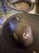 User submitted photo
