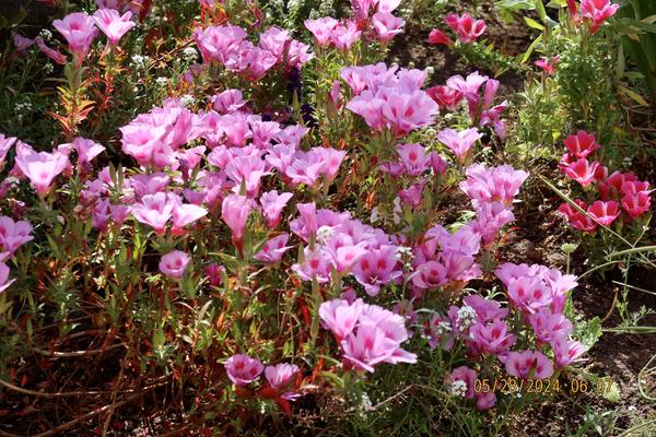 Customer photo 1 of 4. Click to open full size image.