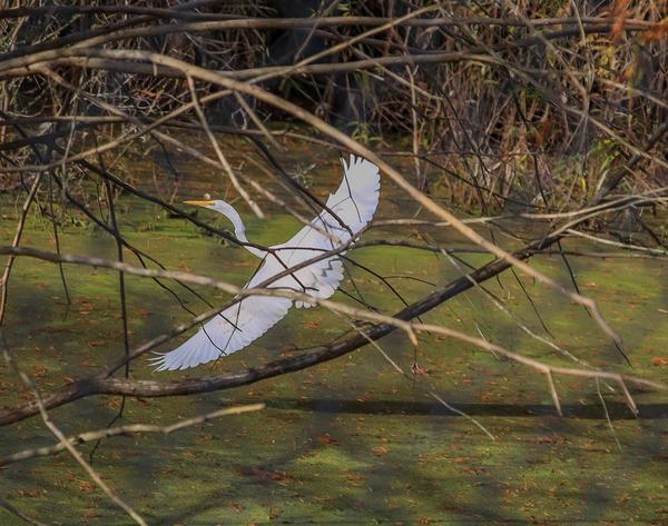 Customer photo 4 of 6. Click to open full size image.