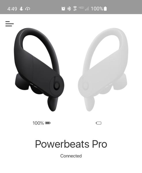 Beats by Dr. Dre Powerbeats Pro In-Ear True Wireless Earbuds - Black  Reviews