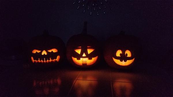 Customer photo 6 of 6. Click to open full size image.