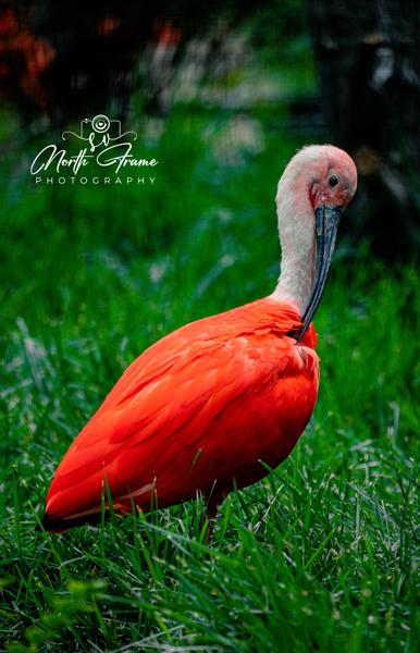 Customer photo 4 of 5. Click to open full size image.