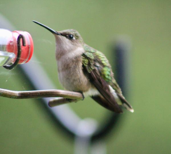 Customer photo 2 of 3. Click to open full size image.