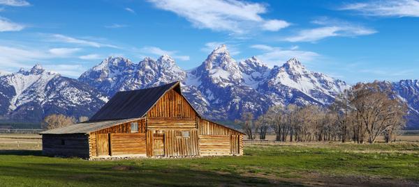 Customer photo 6 of 6. Click to open full size image.