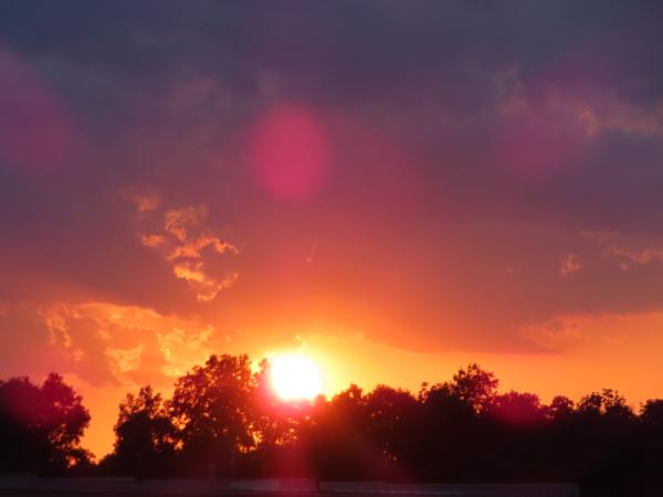 Customer photo 2 of 6. Click to open full size image.