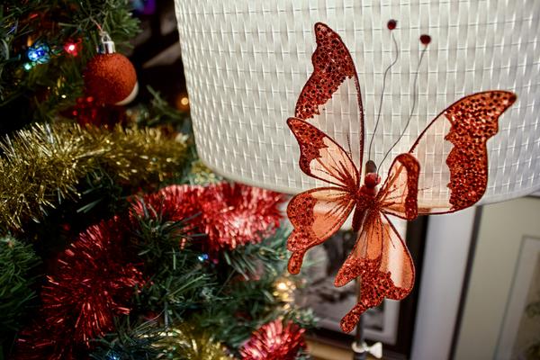 Customer photo 2 of 6. Click to open full size image.