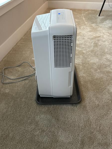 Customer photo 1 of 3. Click to open full size image.