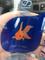 User submitted photo